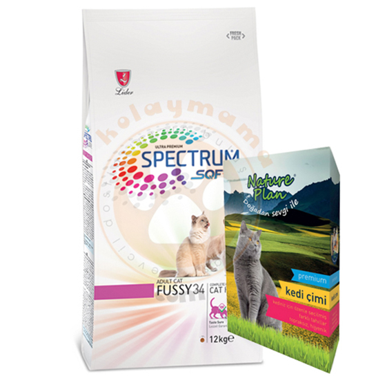 Kedi İştah Açıcı Kullanımı ve Faydaları Nelerdir?